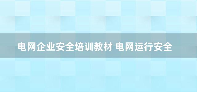 电网企业安全培训教材 电网运行安全